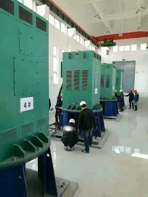 YKK5003-2GJ某污水处理厂使用我厂的立式高压电机安装现场